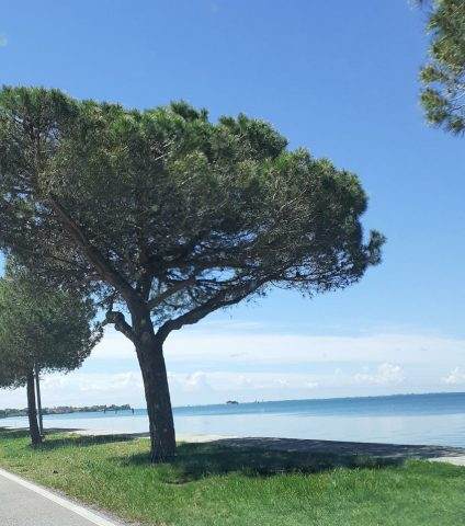 San giuliano venice by bike